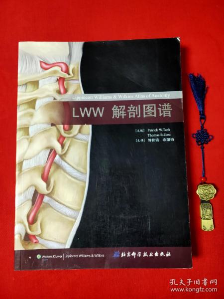 LWW解剖图谱