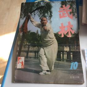 武林杂志，1982年第10期 1982.10.总第13期。不缺页。王选杰大成拳简介，少林大战拳下，六合八法拳二等经典内容