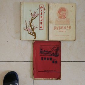 毛主席诗词讲解汇编，纵情歌唱东方红（革命歌曲专集），红色故都＿瑞金，3册合售，包邮