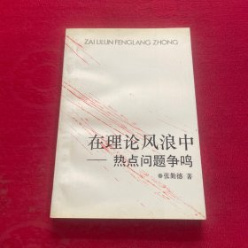 在理论风浪中 热点问题争鸣