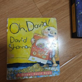 Oh, David! (A Diaper David Book) [Board Book][大卫宝宝的故事：噢，大卫]