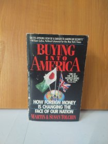 Buying Into America【英文原版】