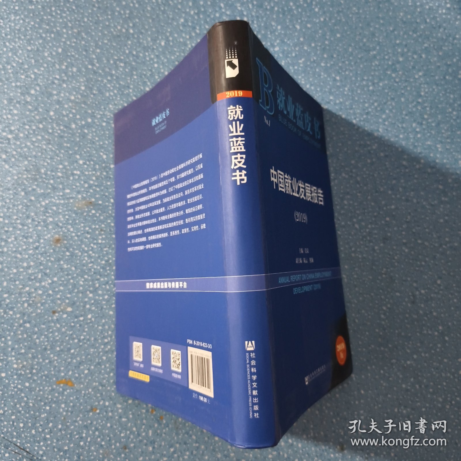 就业蓝皮书：中国就业发展报告（2019）
