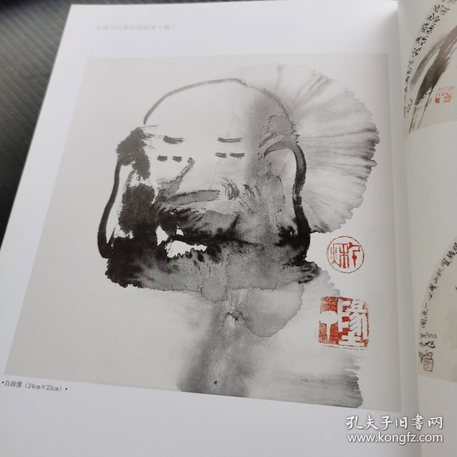 中国当代著名国画家·地丁：水墨味象