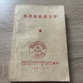 毛泽东思想万岁（重庆）