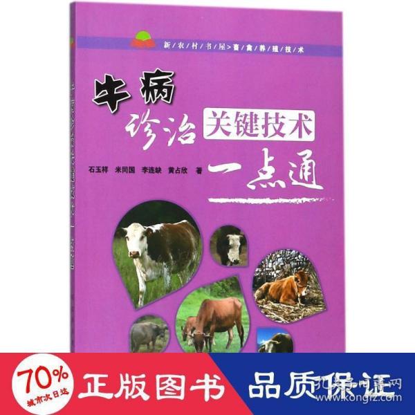 牛病诊治关键技术一点通