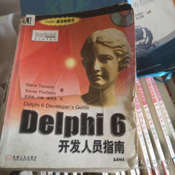 Delphi 6开发人员指南--Borland/Inprise 核心技术丛书
