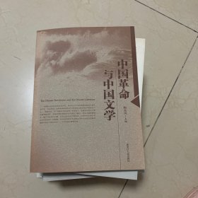 中国革命与中国文学