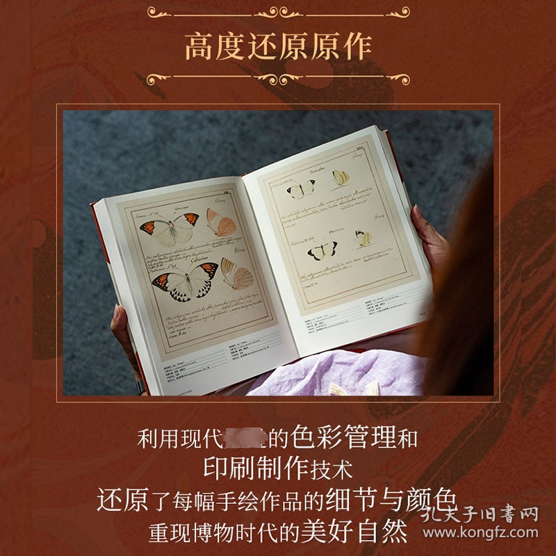 蝴蝶圣经