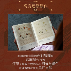 蝴蝶圣经