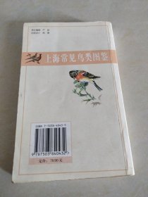 上海常见鸟类图鉴
