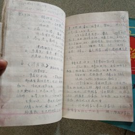 中医笔记本两本（1）