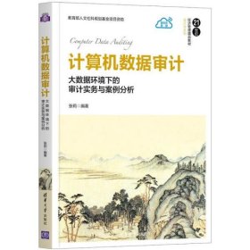 计算机数据审计(大数据环境下的审计实务与案例分析21世纪经济管理精品教材)/会计学系列