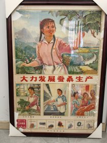 大力发展蚕桑生产 宣传画 七十年代