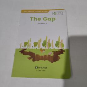 斑马AI课   The  Gap