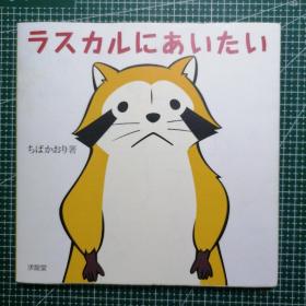 日版稀有 ラスカルにあいたい  ちばかおり著 Rascal (小浣熊)拉斯卡尔想见你 世界名作剧场动画 小浣熊  资料设定集 画集