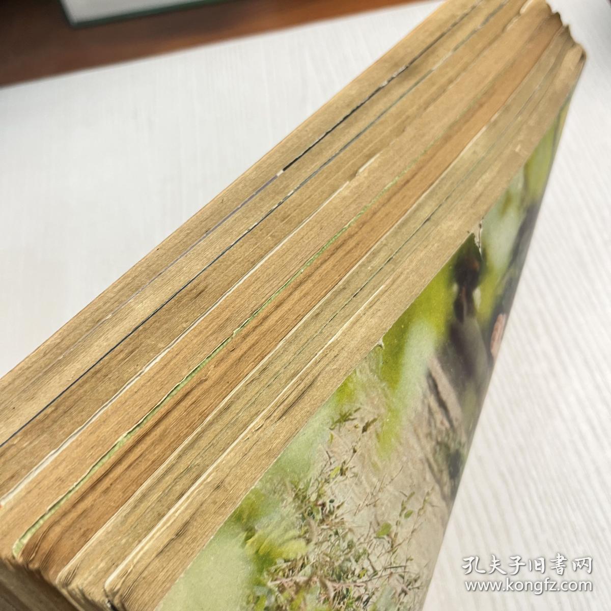 武林1983年(7－12)期