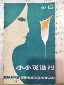 小小说选刊 1985年 月刊 全年第1-12期（第1、2、3、4、5、6、7、8、9、10、11、12期）总第1-12期