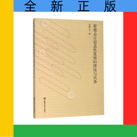 管理會(huì)計(jì)信息化發(fā)展的理論與實(shí)務(wù)