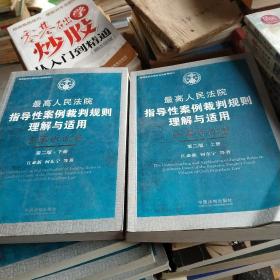 最高人民法院指导性案例裁判规则理解与适用：民事诉讼卷（上下册）（第2版）