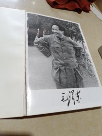 毛泽东传:1893-1949上下