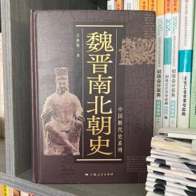 中国断代史系列：魏晋南北朝史