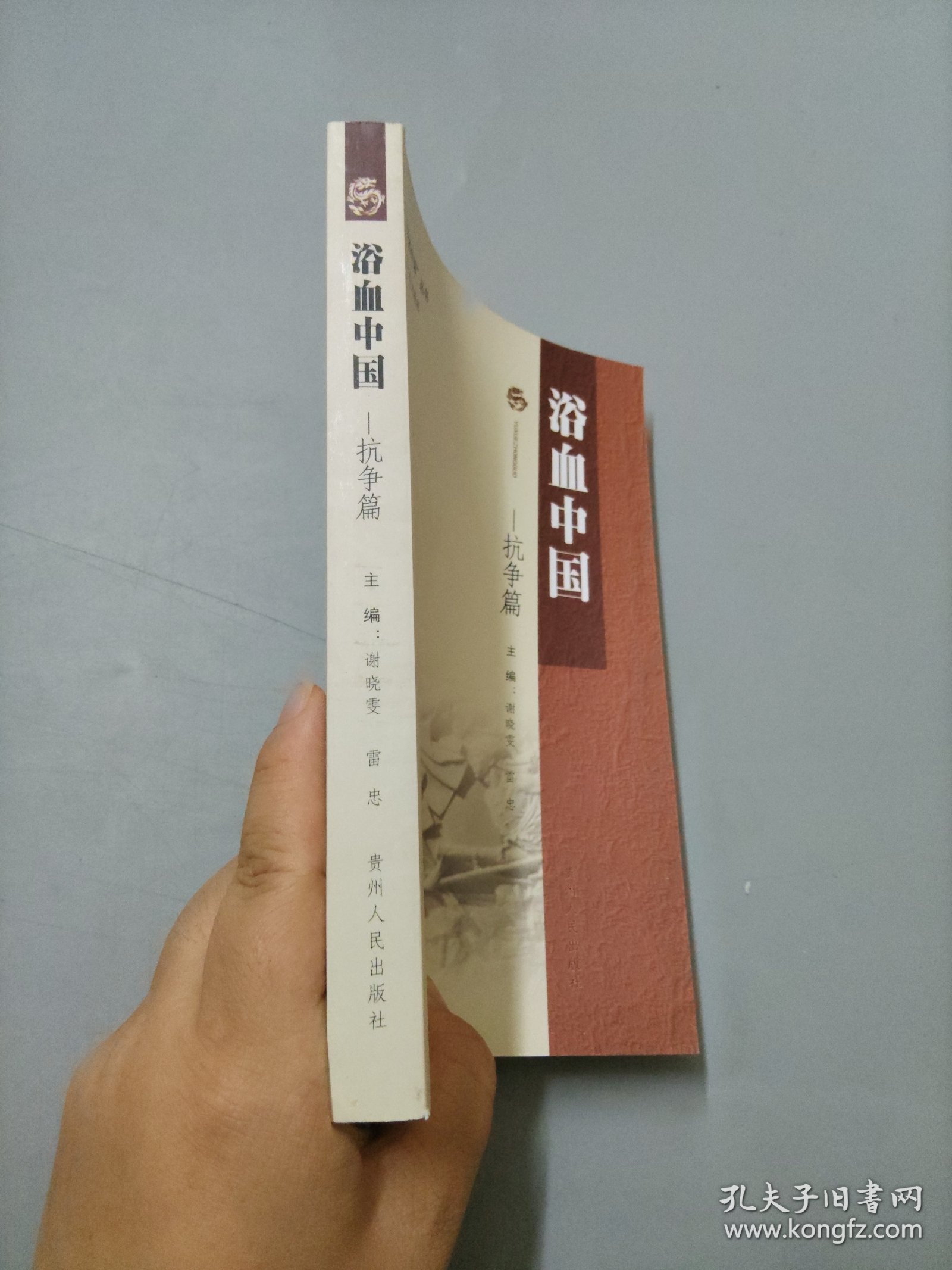 可爱的中国丛书·浴血中国：抗争篇