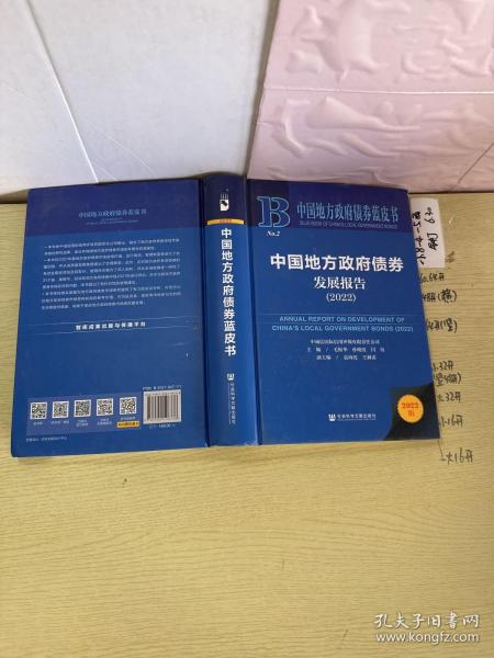 中国地方政府债券蓝皮书：中国地方政府债券发展报告（2022）