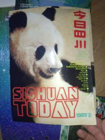 《今日四川（1989年第2期）》大16开，中英文对照，书画刊蓝袋内