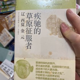 疾驰的草原征服者：辽 西夏 金 元