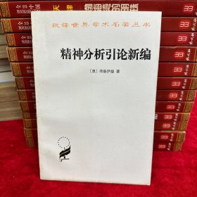 精神分析引论新编