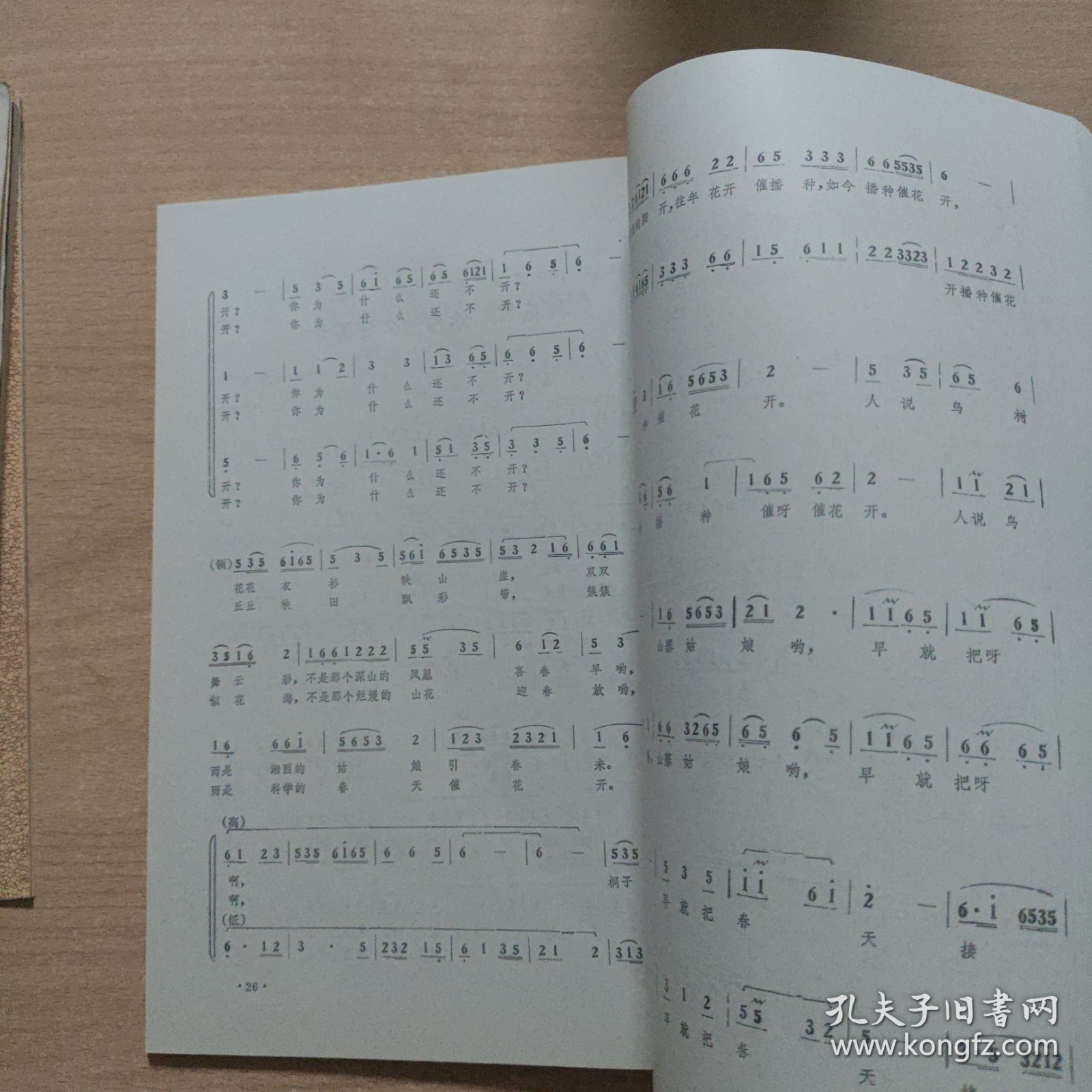 花老虎民族艺术新歌集