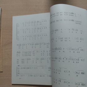 花老虎民族艺术新歌集