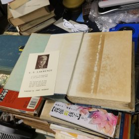 William Wordsworth: His Life, Works, and Influence（乔治·麦克林恩·哈珀《华兹华斯传》一卷本，配插图，布面精装 （民国1928年印）