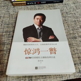 惊鸿一瞥：CCTV首席财经主播陈伟鸿自述