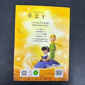 小王子纯美电影故事