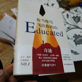 你当像鸟飞往你的山