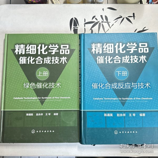 精细化学品催化合成技术（上册，绿色催化技术）