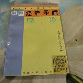 中国经济矛盾导论