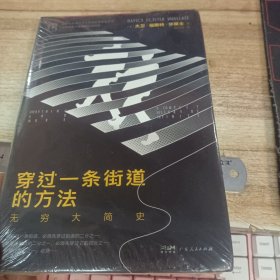 万有引力书系：穿过一条街道的方法：无穷大简史