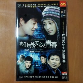 我们无处安放的青春 2DVD-9