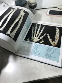 1984年COLOR ATLAS OF HUMAN ANATOMY 人体解剖彩色图集，伦敦大学解剖学教授联合主编，大16开357页精装