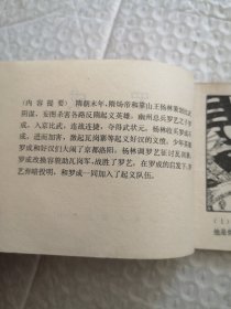 连环画,罗成