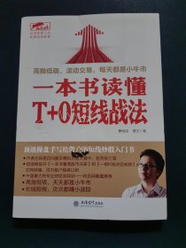 擒住大牛：一本书读懂T+0短线战法