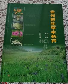 贵州野生草木花卉 彩版   内容全新