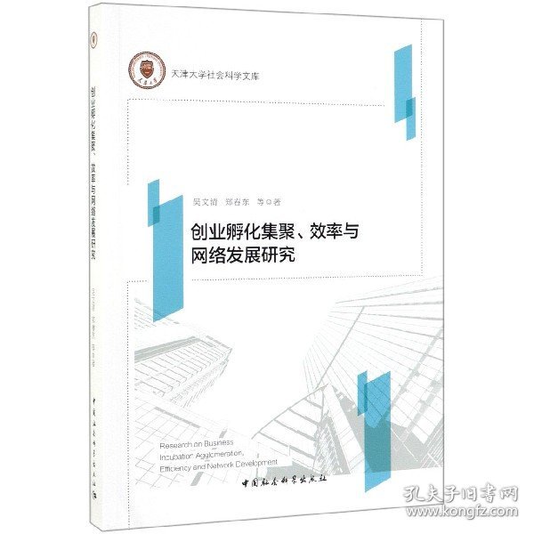 创业孵化集聚、效率与网络发展研究