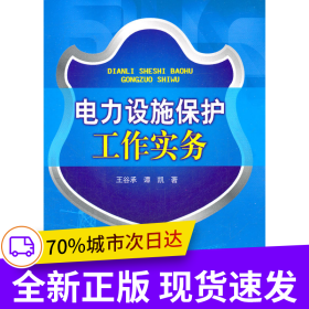 電力設(shè)施保護(hù)工作實(shí)務(wù)