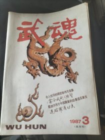 武魂，隐世武技无极拳，武术论坛，武术，太极拳，曦阳掌，无极拳空练十八则功法，津门武林，武术研究，尹派八卦先后天合一图，仿生与形意拳，武术与戏剧，岳氏连拳，疯魔棍，武术养生，临清潭腿养生功，性命双修功法丹田说，中国擒拿，跆拳道反拿法，迷踪罗汉功夫，腿下功夫，八极拳散招，武坛，少林寺拳法，李小龙，武术知识，形意拳步法，功夫，