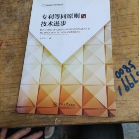 专利等同原则与技术进步（暨南知识产权管理文库）