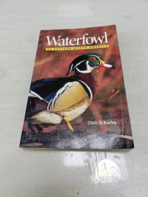 WaterfowlofEasternNorthAmerica 32開(kāi)